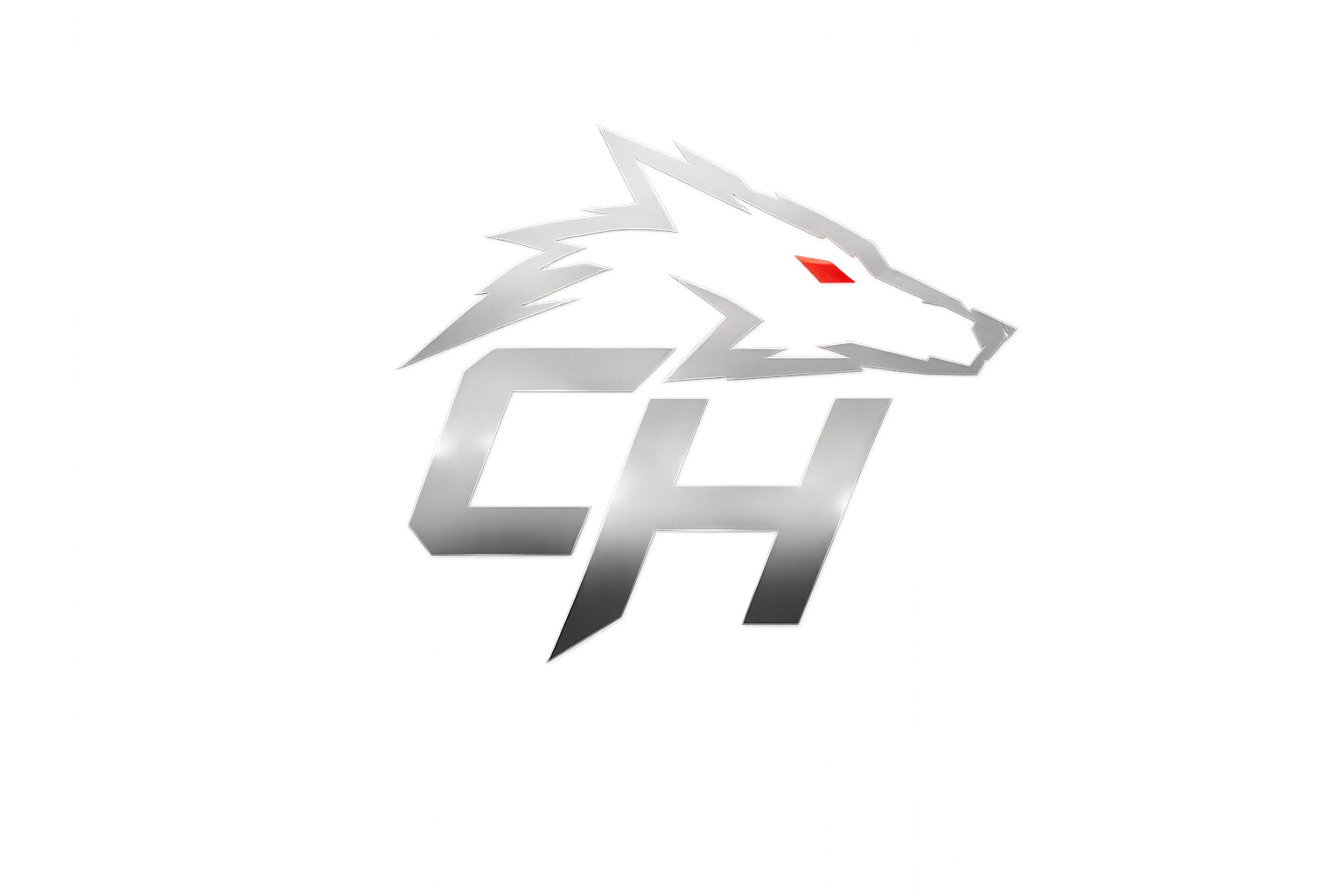 The Coyote House Inc 